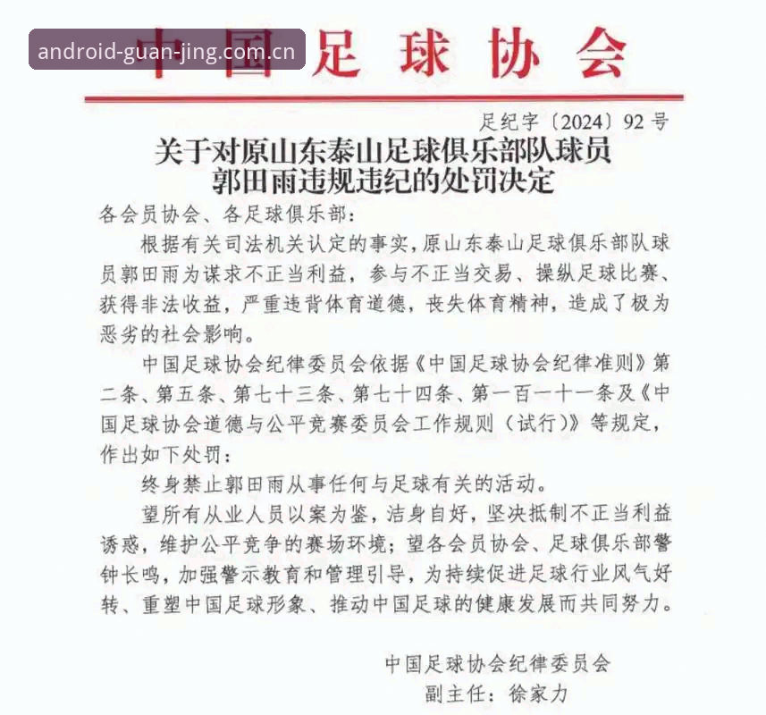 中国足协第三批禁足名单全面解析：17人终身禁赛背后的治理逻辑与行业警示